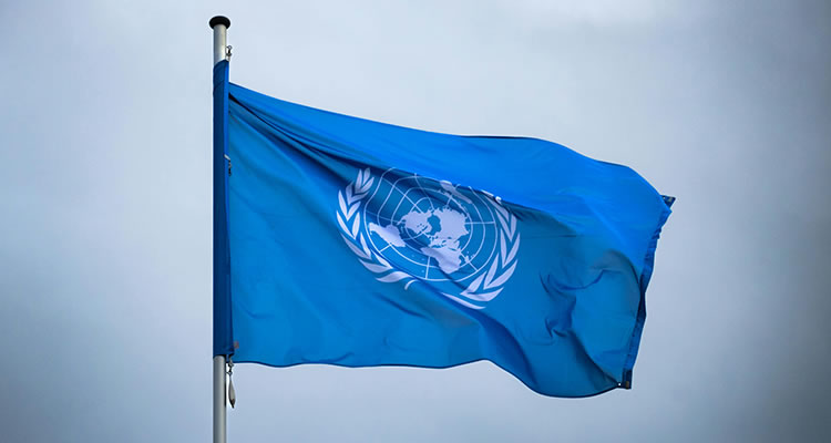 BM’den Afrika İçin Yeni Reçete: Fikir Birliği Sağlandı