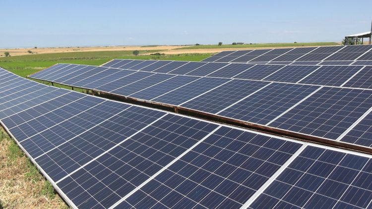 Edirne'de Tarımda Güneş Enerjisi ve Dron Kullanılıyor
