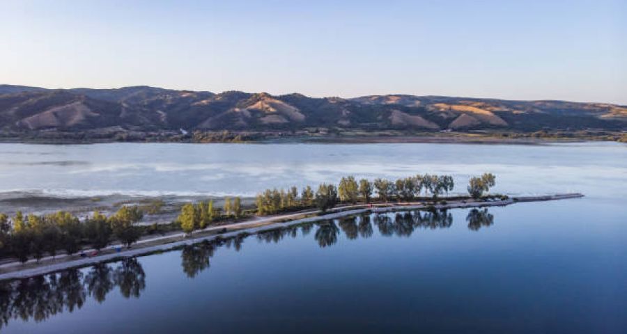 Sırbistan'da Tuna Nehri için alarm: Su seviyesi tarihi dipte