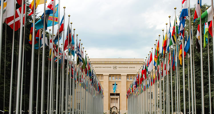 BM’den Afrika İçin Yeni Reçete: Fikir Birliği Sağlandı