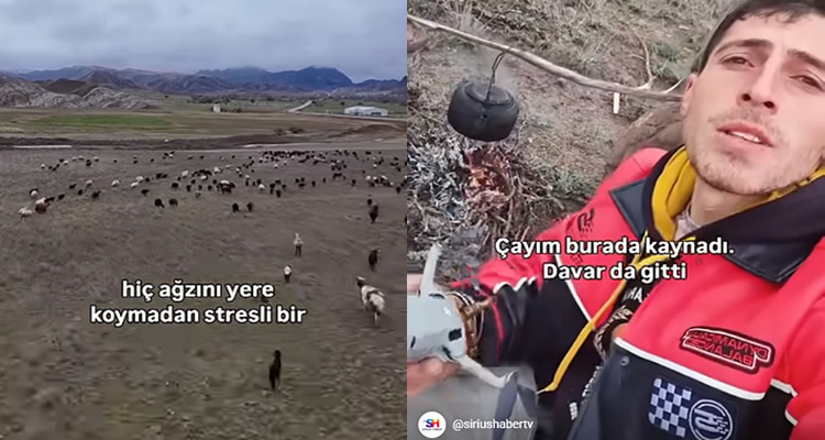 Teknolojik Çoban Drone ile Koyunları Otlatıyor